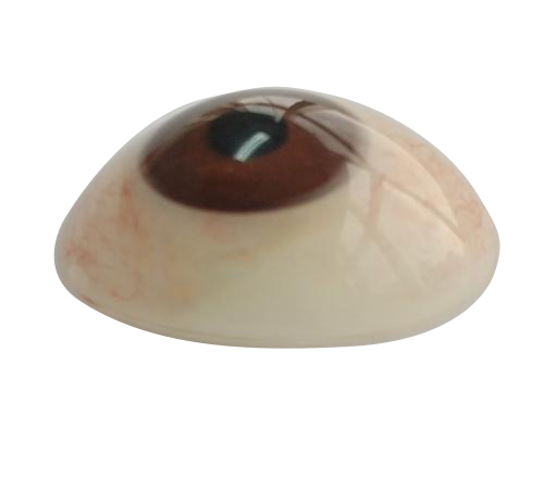 石家庄微雕义眼定制